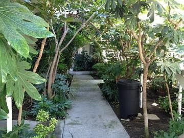 Inside Courtyard