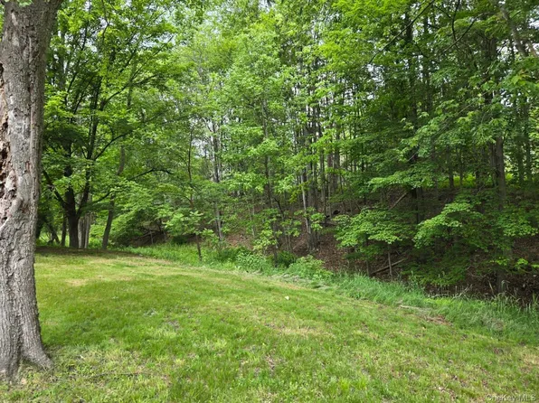 Overlook Avenue, Fallsburg, NY 12763
