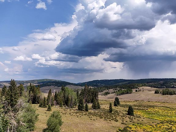 2nd image of Usfs Rd #93