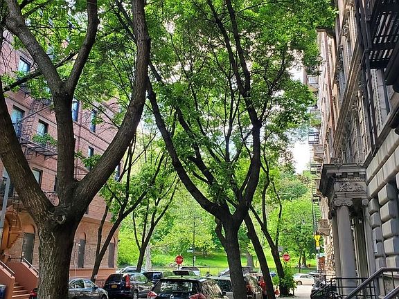 3rd image of 353 W 115th St #2B