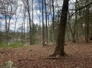 135 Hemlock Hl, Montague, NJ 07827