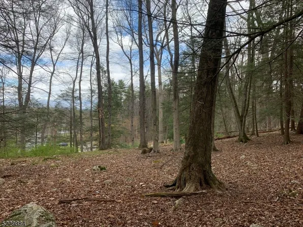 135 Hemlock, Montague Twp., NJ 07827