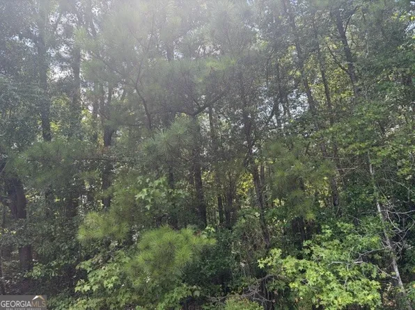 3063 Hamlin Rd, Lizella, GA 31052