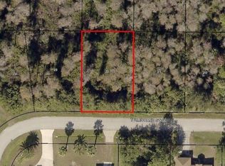 1323 Talleyrand St SE, Palm Bay, FL 32909