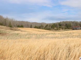 6595 Hammonsville Rd, Bonnieville, KY 42713