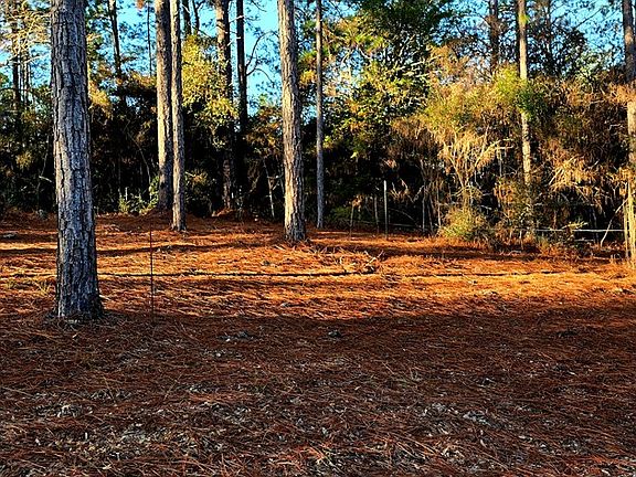 5th image of Pind 34619 Sycamore Dr