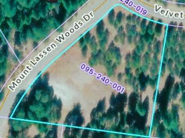 LOT 1 Mount Lassen Woods Dr, Shingletown, CA 96088