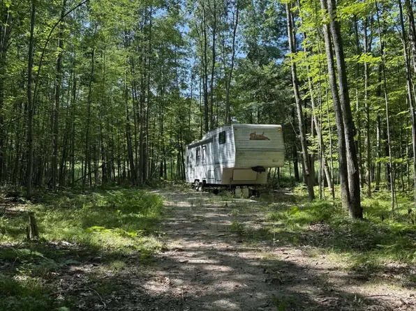 1128 N Hubbard Lake Rd, Lincoln, MI 48742