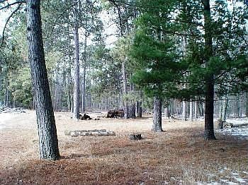 3rd image of 34561 County Road 3