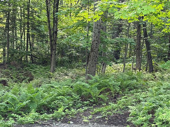 4th image of 47 Greenville Road Lot 3