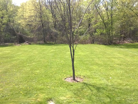 view of back yard from porch
