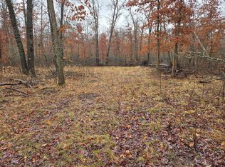 N Irons Rd, Irons, MI 49644