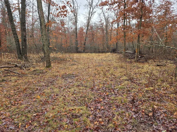 N Irons Rd, Irons, MI 49644