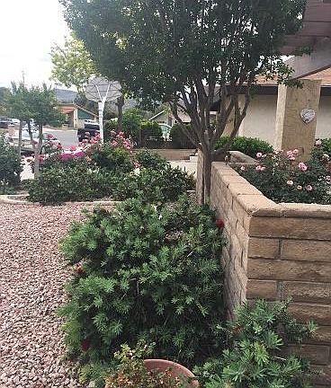 4th image of 26069 Clemente Gardens Ln