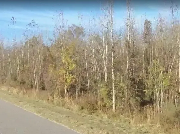 0 Us Highway 74 W, Rowland, NC 28383