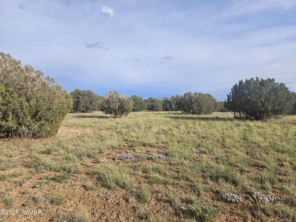 2429 Bourdon Ranch Rd, Show Low, AZ 85901