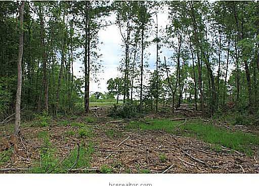 1st image of Fm 1774