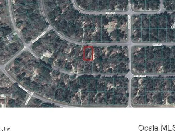 0 Fisher Ct, Ocklawaha, FL 32179