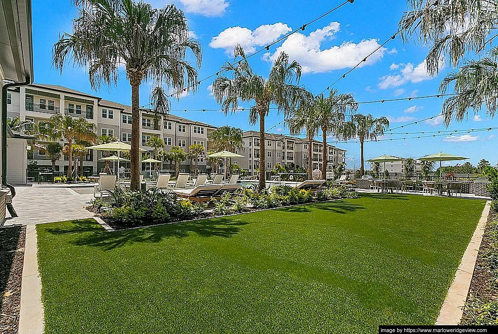 1 bed, 1.0 bath, 807 sqft, $1,556 — Photo 3