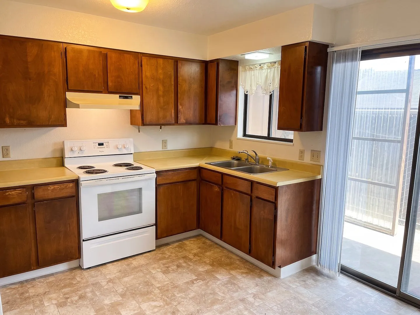 2255 Arbutus PRM: Henry (4) — Photo 4