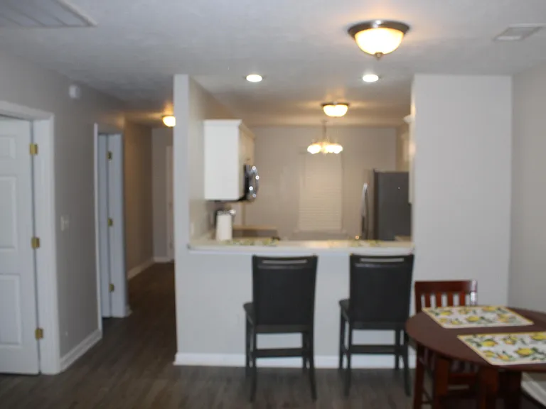 1802 Honeysuckle Way — Photo 73