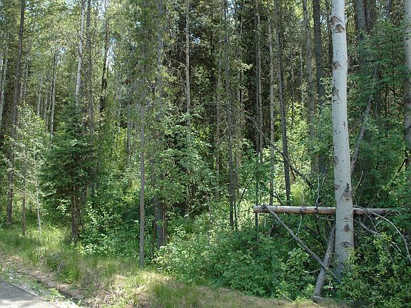 2nd image of Black Bear Ln