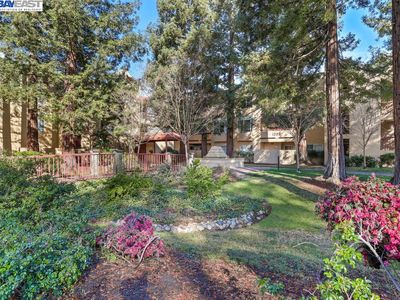 1308 Walden Rd APT 30, Walnut Creek, CA, 94597