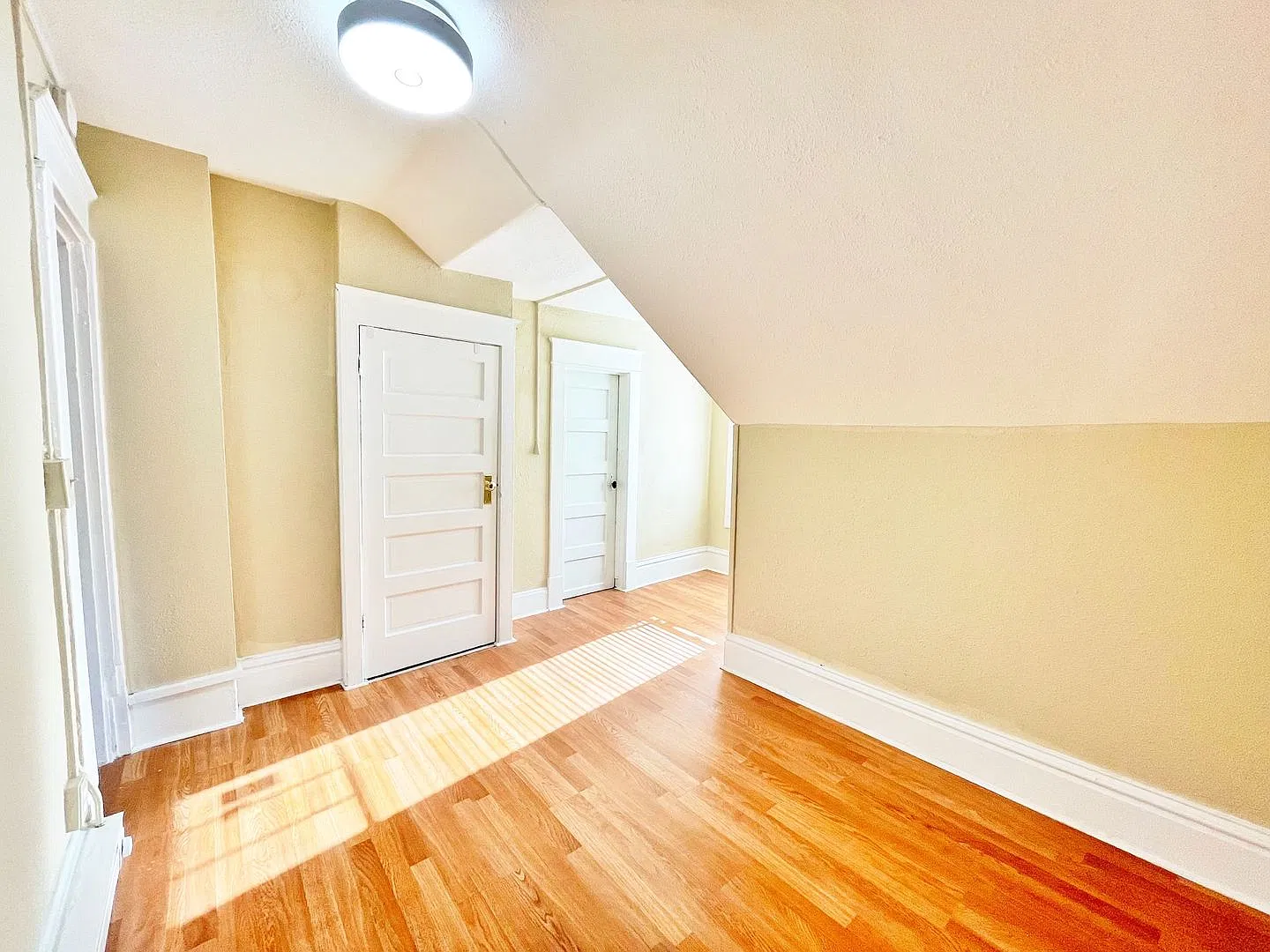 Adams — Photo 3