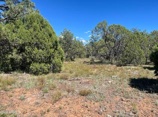 5541 Gray Wolf Dr #43, Lakeside, AZ 85929