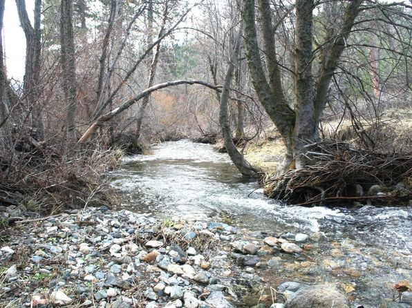 3917 Kangaroo Creek Rd, Gazelle, CA 96034