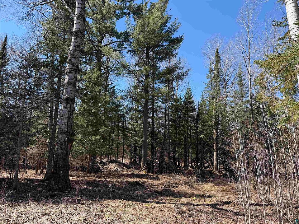 2nd image of 115 Marks Rd