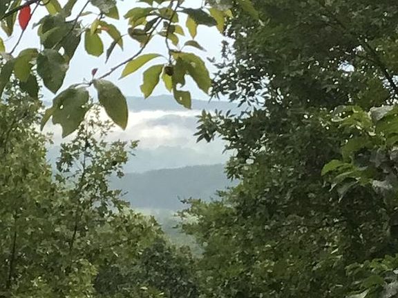 4th image of 260 Deer Ridge Trl