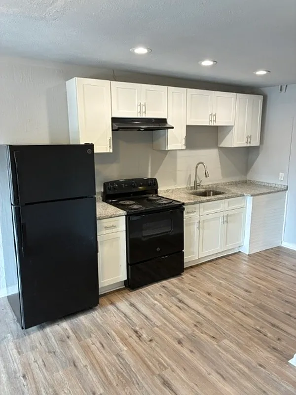 1 bed, 1.0 bath, 420 sqft, $750 — Photo 4