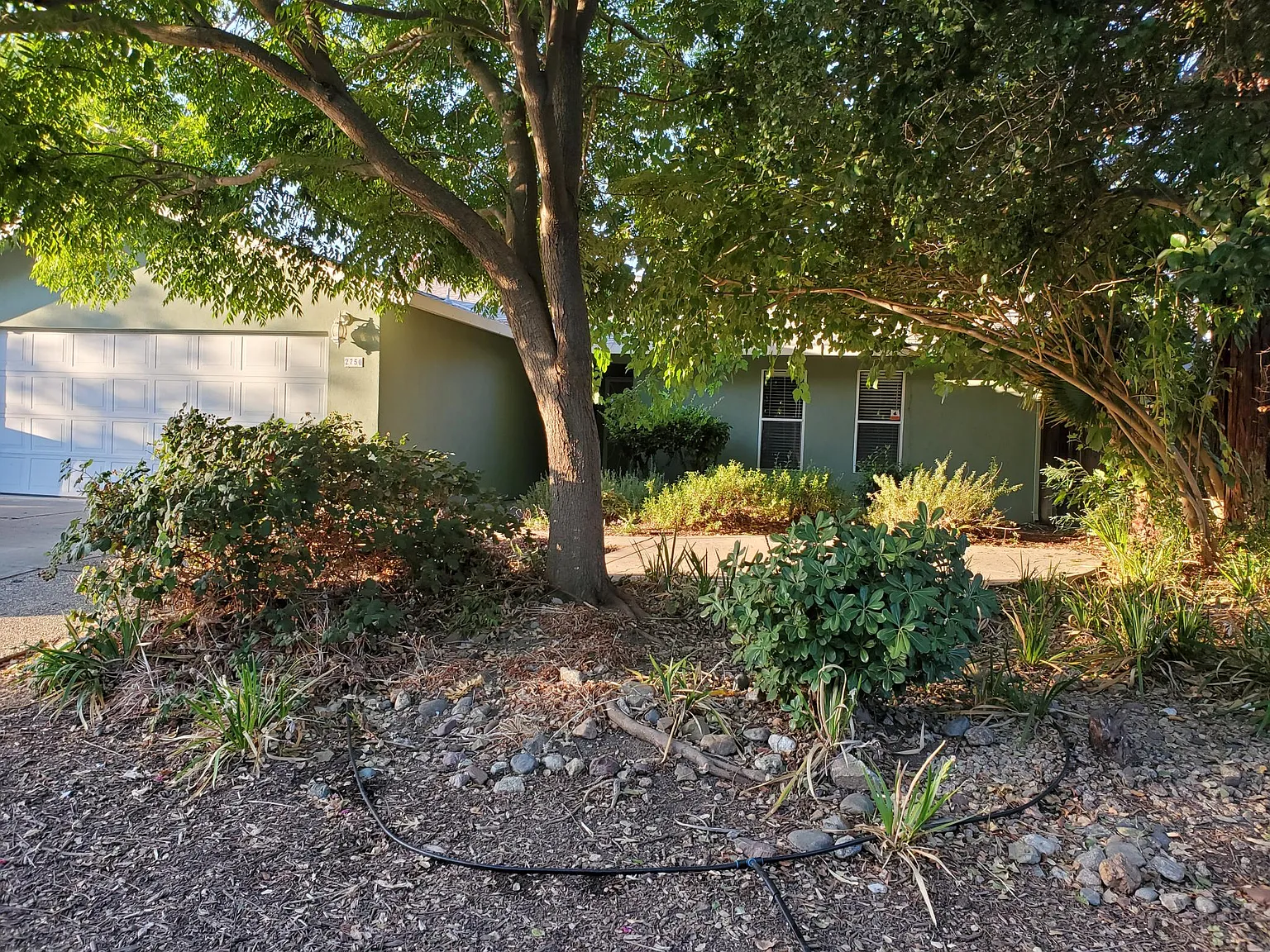2750 Feather Pl photo 1