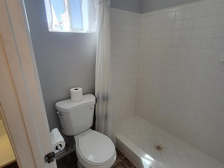 Master bath and shower