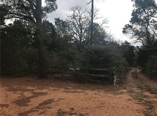 305 Squirrel Run, Paige, TX 78659