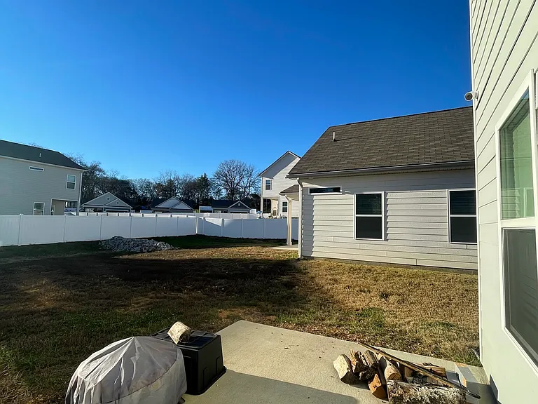 backyard view