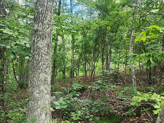 4th image of Id06 Wild Acres Rd