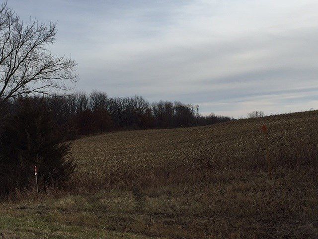 2nd image of 1547 Us Highway 51