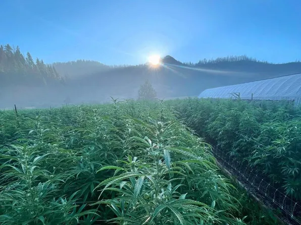 1760 W Hettenshaw Rd, Zenia, CA 95595