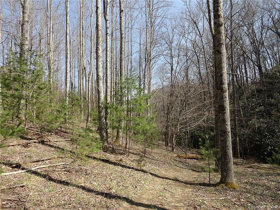 2nd image of 1395 Off Bald Mountain Rd #1395