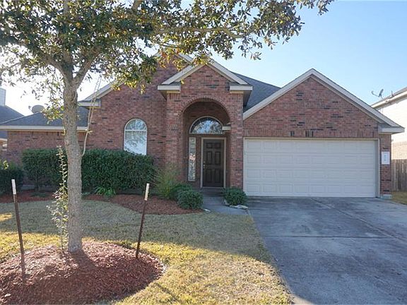 Fabulous Foliage, Tidy Bushes, Baby Oak, and Gardening Options.