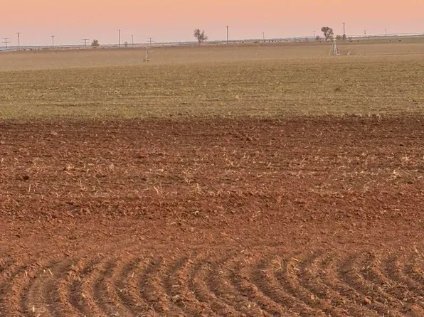 Fm 1548 Fm #1548, Wellington, TX 79095