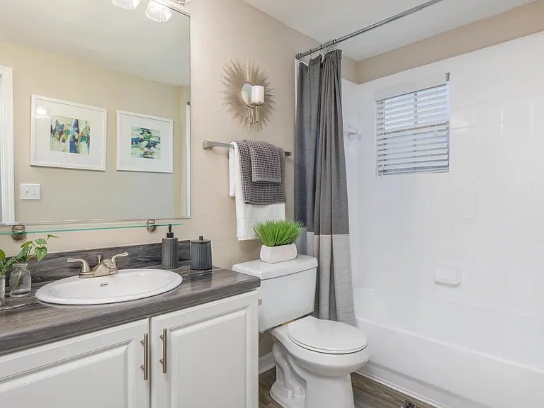 Dive into modern luxury! Experience updated bathrooms with sleek countertops, wood-style flooring, and oversized mirrors.