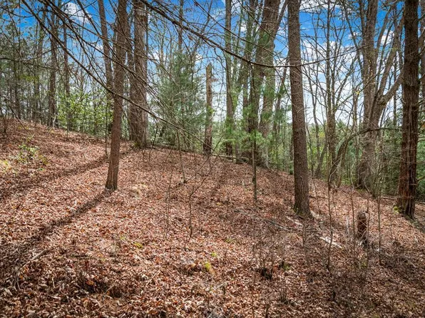 1 Wolf Creek Est, Mineral Bluff, GA 30559