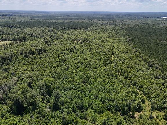 5th image of Fat Martin Rd Lot Wp001