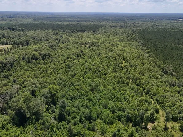 Fat Martin Rd Lot Wp001, Saline, LA 71070