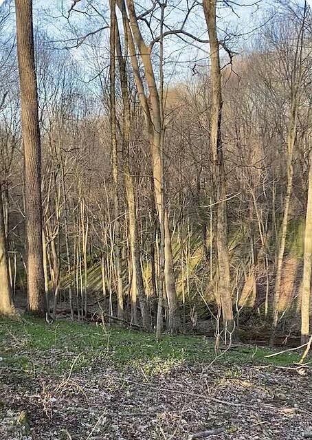 2nd image of 0 Rocky Fork Rd NE
