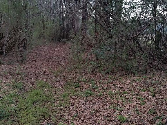 3rd image of 501 Horseshoe Cir