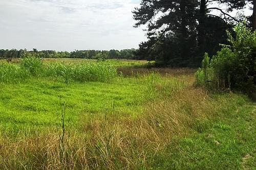 5th image of 4616 County Road 3204